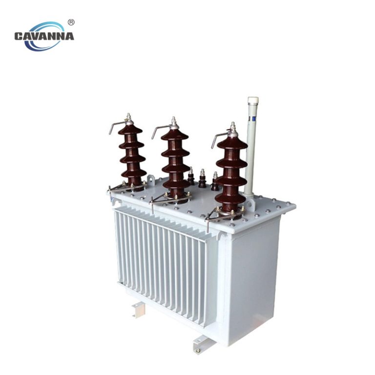 Cavanna Electric Transformer (20)